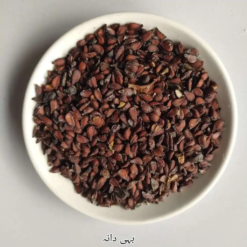 <p class="ql-align-right" dir="rtl"><strong>اردو نام:</strong> بہی دانہ</p><p> <strong>Roman Urdu:</strong> Bihi Dana</p><p> <strong>انگریزی نام:</strong> Quince Seeds</p><p> <strong>ہندی نام:</strong> बिही दाना / बेल के बीज</p>